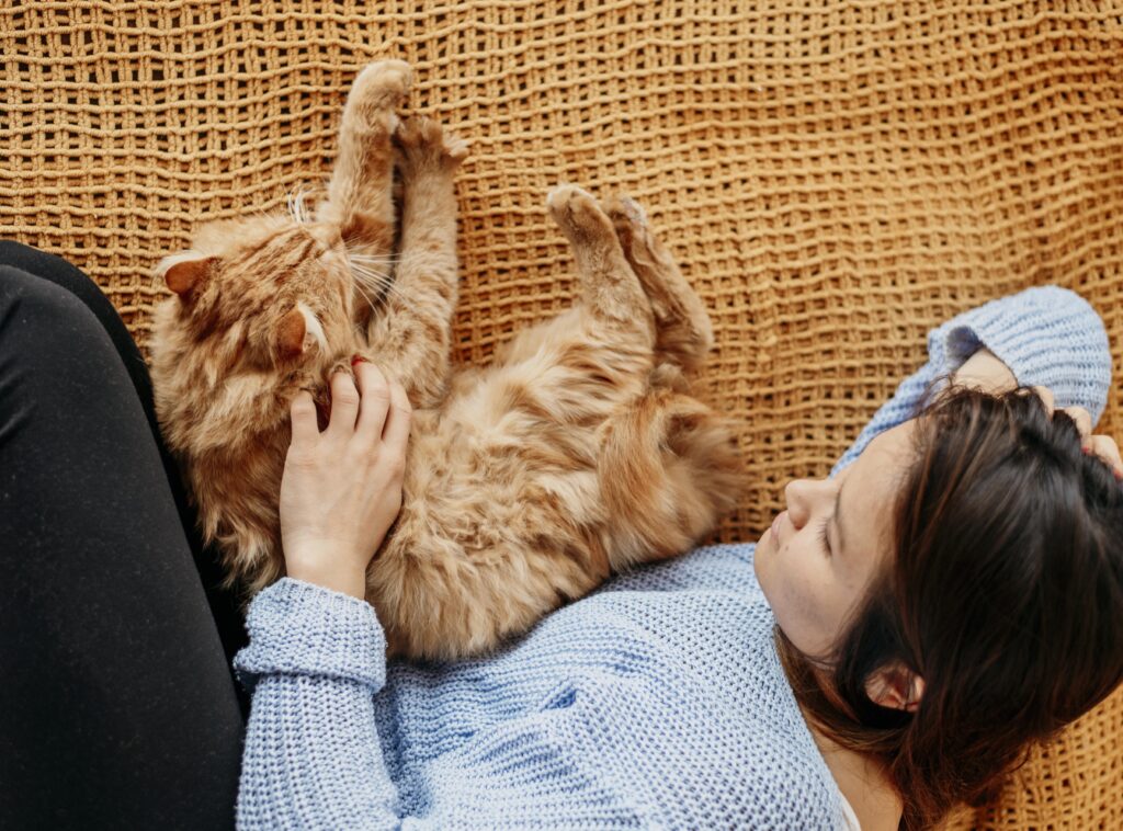 Cat Purring Effect on Humans: The Surprising Healing Power 28 A fluffy cat lying on a soft blanket, with its eyes half-closed in a relaxed expression, being gently petted by a human hand.